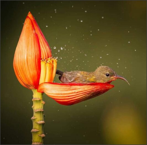 Snap 2021-05-18 at 15.14.11.png