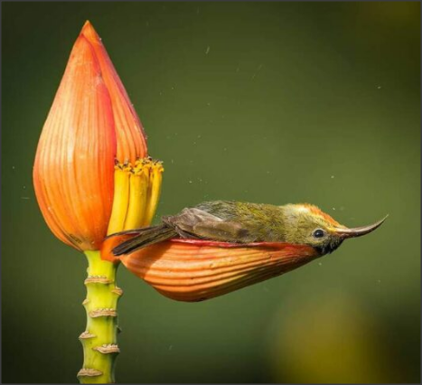 Snap 2021-05-18 at 15.14.22.png