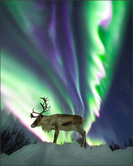 Snap 2021-05-29 at 17.08.14.png