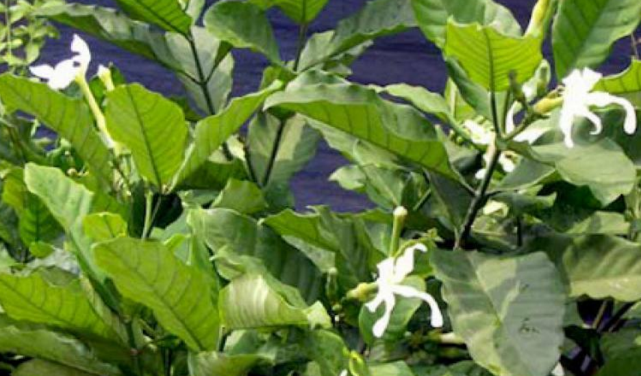 Снимок экрана 2021-04-18 в 10.09.59.png