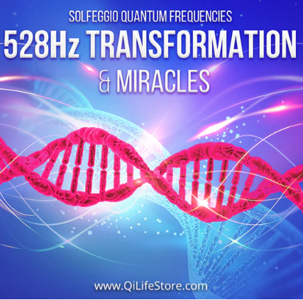 Снимок экрана 2022-08-27 в 21.25.01.png