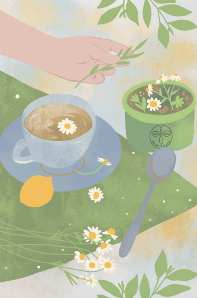 Снимок экрана 2024-07-26 в 14.47.03.png