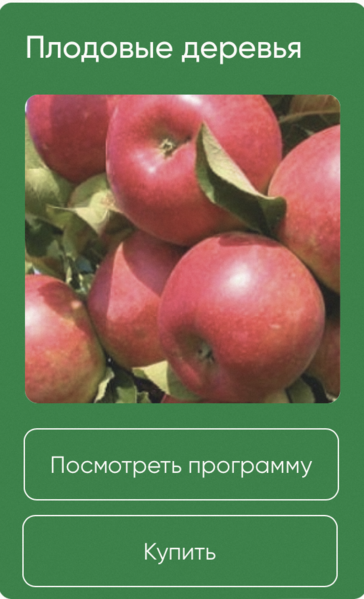 Снимок экрана 2024-07-28 в 20.40.12.png