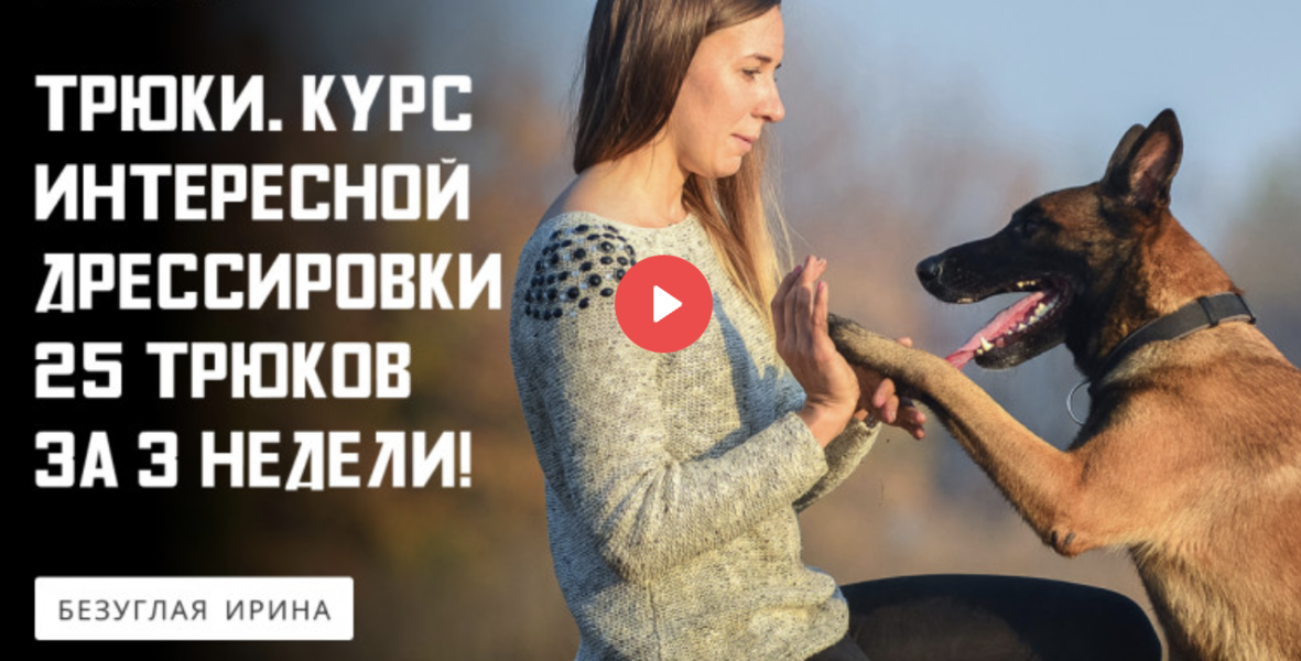 Снимок экрана 2024-08-22 в 17.49.00.png