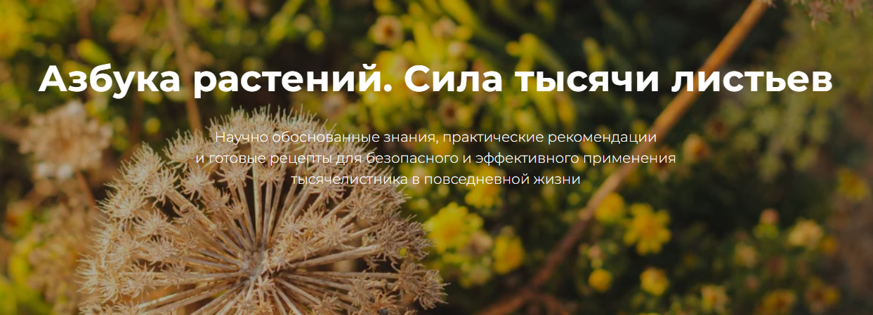 Снимок экрана 2025-04-17 185648.png