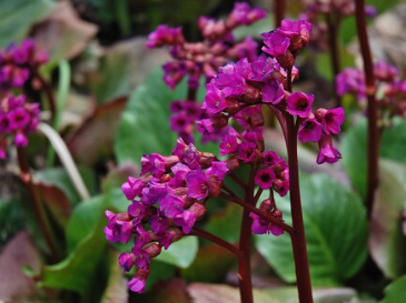 Снимок экрана 2025-04-17 190502.png