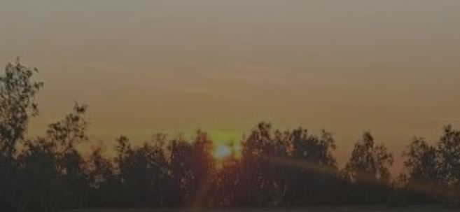 Снимок экрана 2025-09-13 162831.png