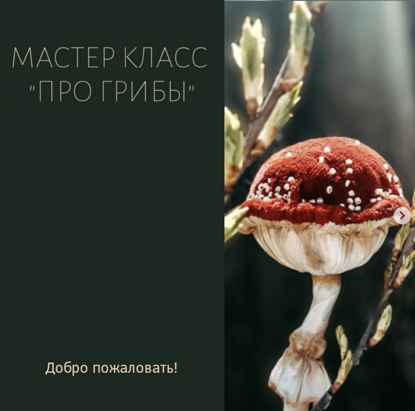 Снимок экрана 2025-10-04 в 13.07.16.png