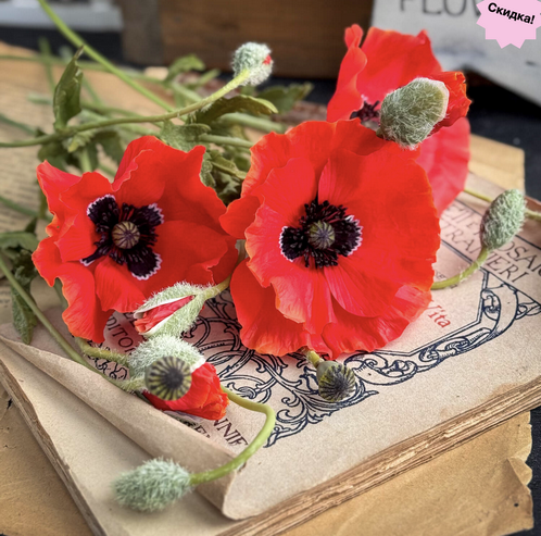 Снимок экрана 2026-01-20 в 18.08.27.png