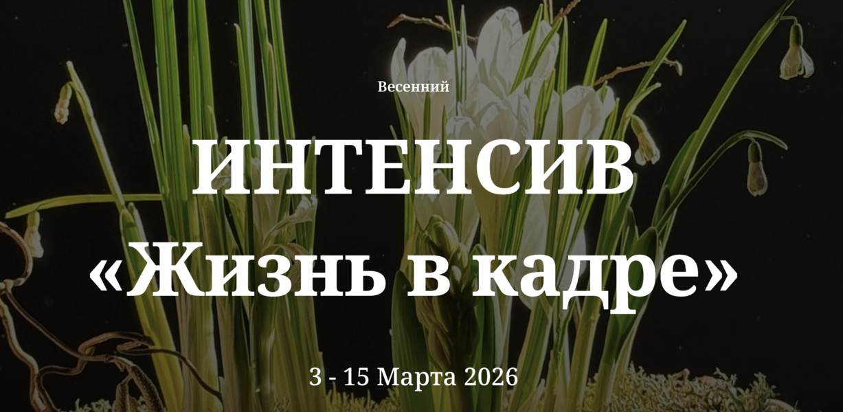 Снимок экрана 2026-08-02 в 02.46.52.png