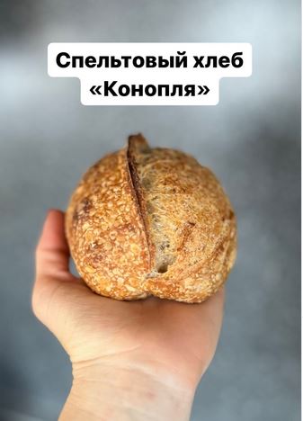 Снимок.JPG