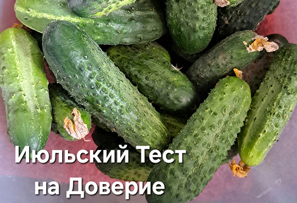 тест на доверии.jpg