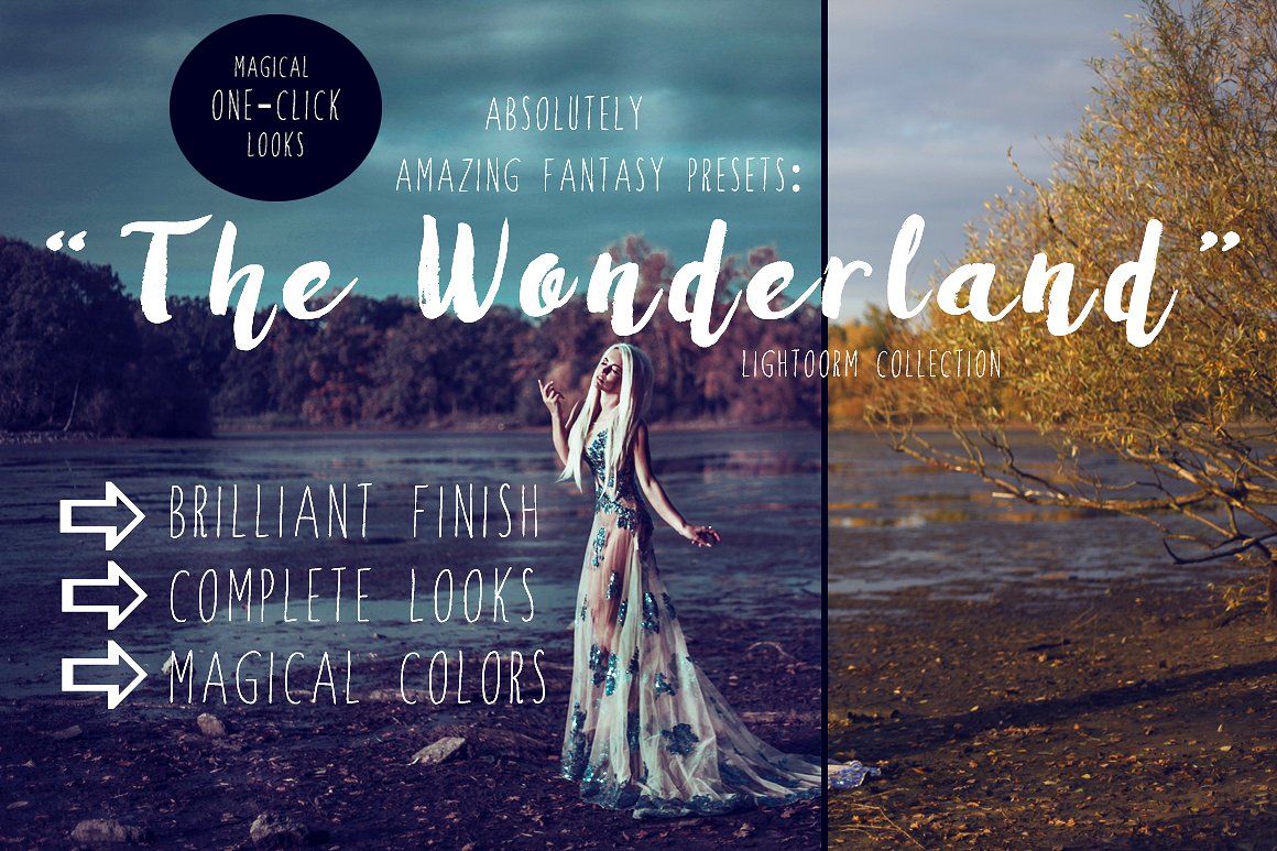 thewonderland-cover-.jpg