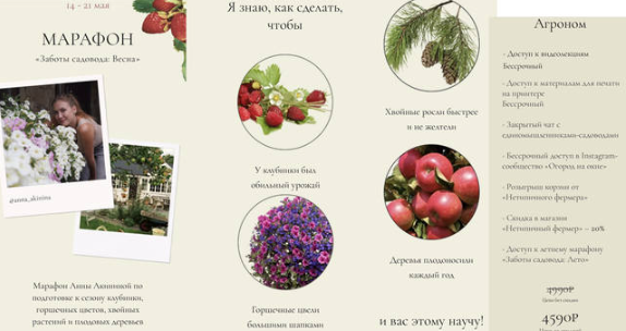 upload_2026-6-11_4-21-39.png