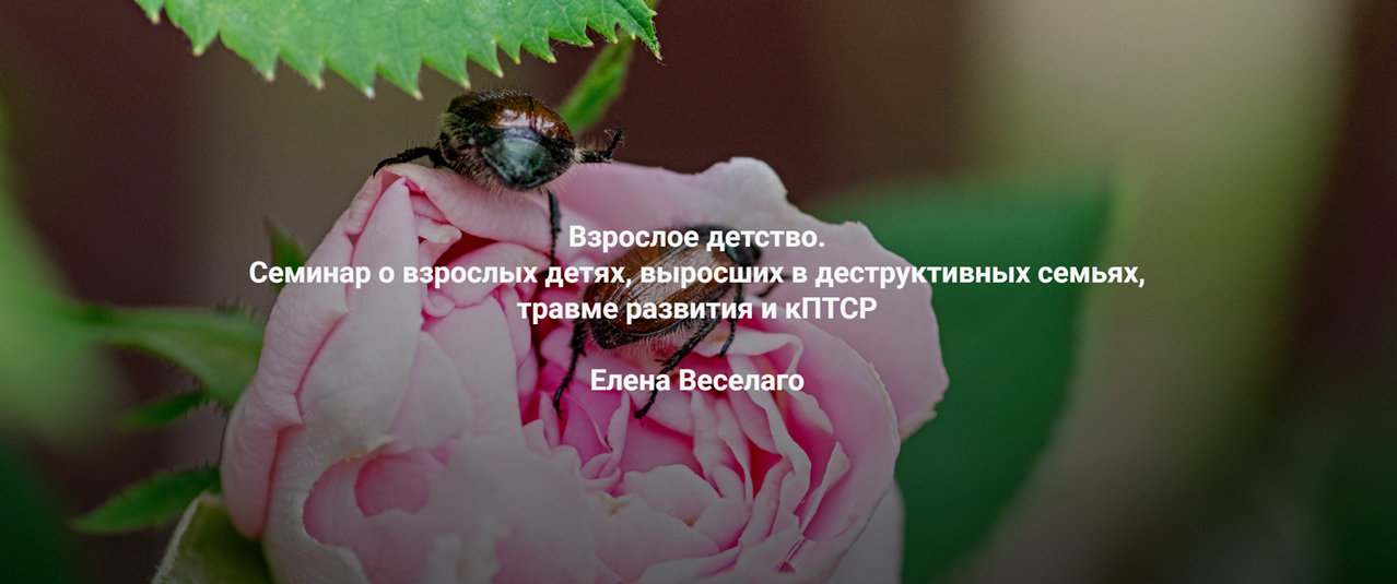 вд.png