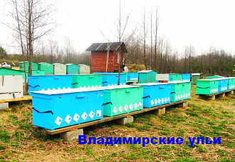 владимирский улей.jpg