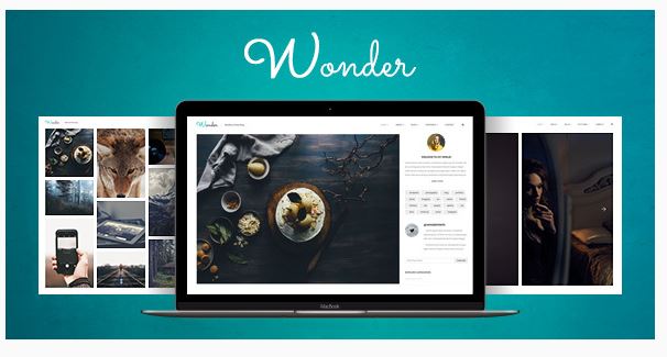 вондер главная.JPG