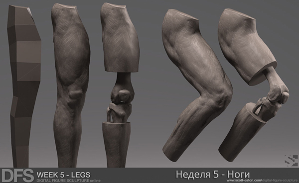 week5_legs_zbrush_1(600x3).jpg