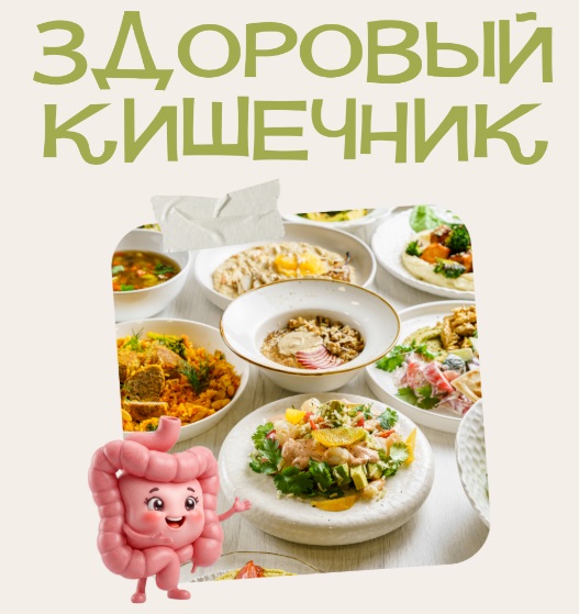 Здоровая кишка.jpg