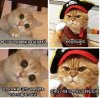 pirate.jpg