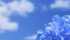 10.gif