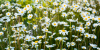 upload_2026-6-13_19-34-11.png