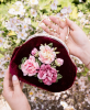 upload_2026-6-19_19-54-52.png