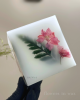 upload_2026-7-21_9-9-4.png