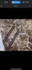 upload_2026-8-9_5-7-51.png
