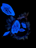 upload_2026-8-24_6-19-13.png