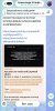 IMG_4553.jpeg