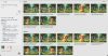 preview.png