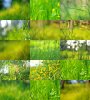 15-Spring-Bokeh-Backgrounds-Site-02-480px.jpg