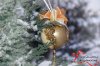 test58248643e86472.66248009.jpg
