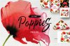 poppy-flowers-watercolor-png-set-preview-8.jpg