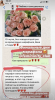 Снимок экрана 2020-05-14 в 08.24.46.png