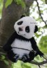 9a1b290ccafe975705996a94dan5--materialy-dlya-tvorchestva-master-klass-lemur-i-panda-ot-mari.jpg