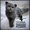 i.soboll_172147501_2615700788728031_3962222088783916307_n.jpg