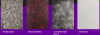 фотофоны (4).png