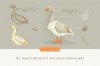 cdtoolkit-birds-glanz-7-.jpg