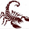 Scorpion888