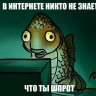 Shpota