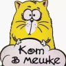 Кот_в_мешке